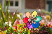 Windspiel Paradise Flower Rainbow Blume Windmühle 35 cm für den Garten