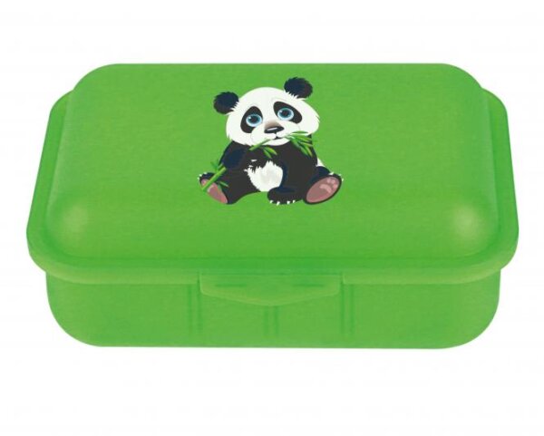 Brotdose Pandabär mit Trennsteg grün 18x13x7 cm von Emil